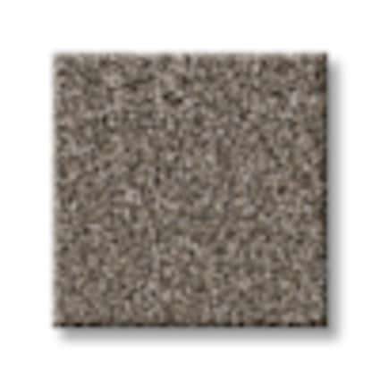 Shaw Hudson River Metropolitan Texture Carpet with Pet Perfect Plus-Sample